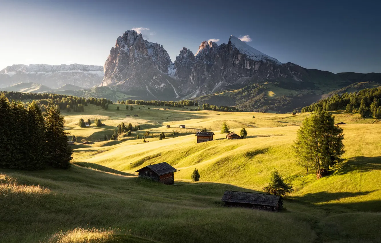 Alpine Meadows