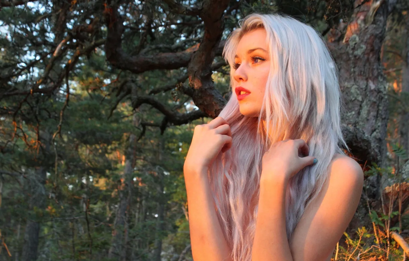 Фото обои лес, девушка, фото, блондинка, girl, devon jade