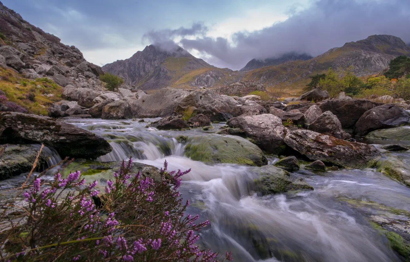 Фото обои горы, река, камни, Англия, England, Уэльс, Wales, вереск