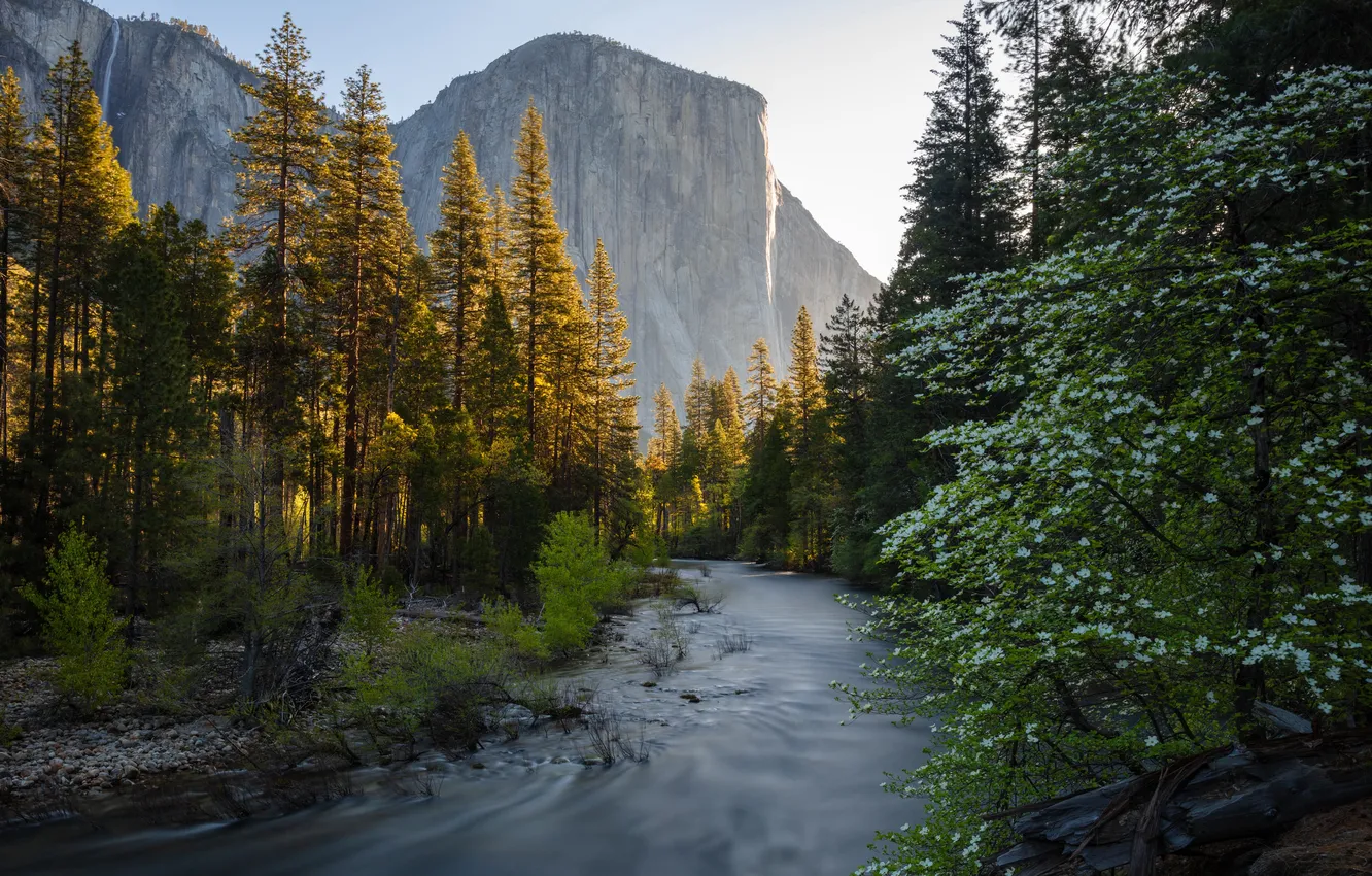 Фото обои landscape, California, Yosemite National Park