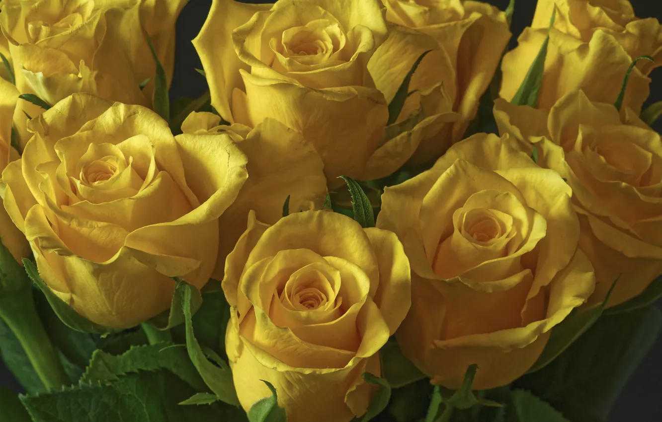 Фото обои желтый, розы, букет