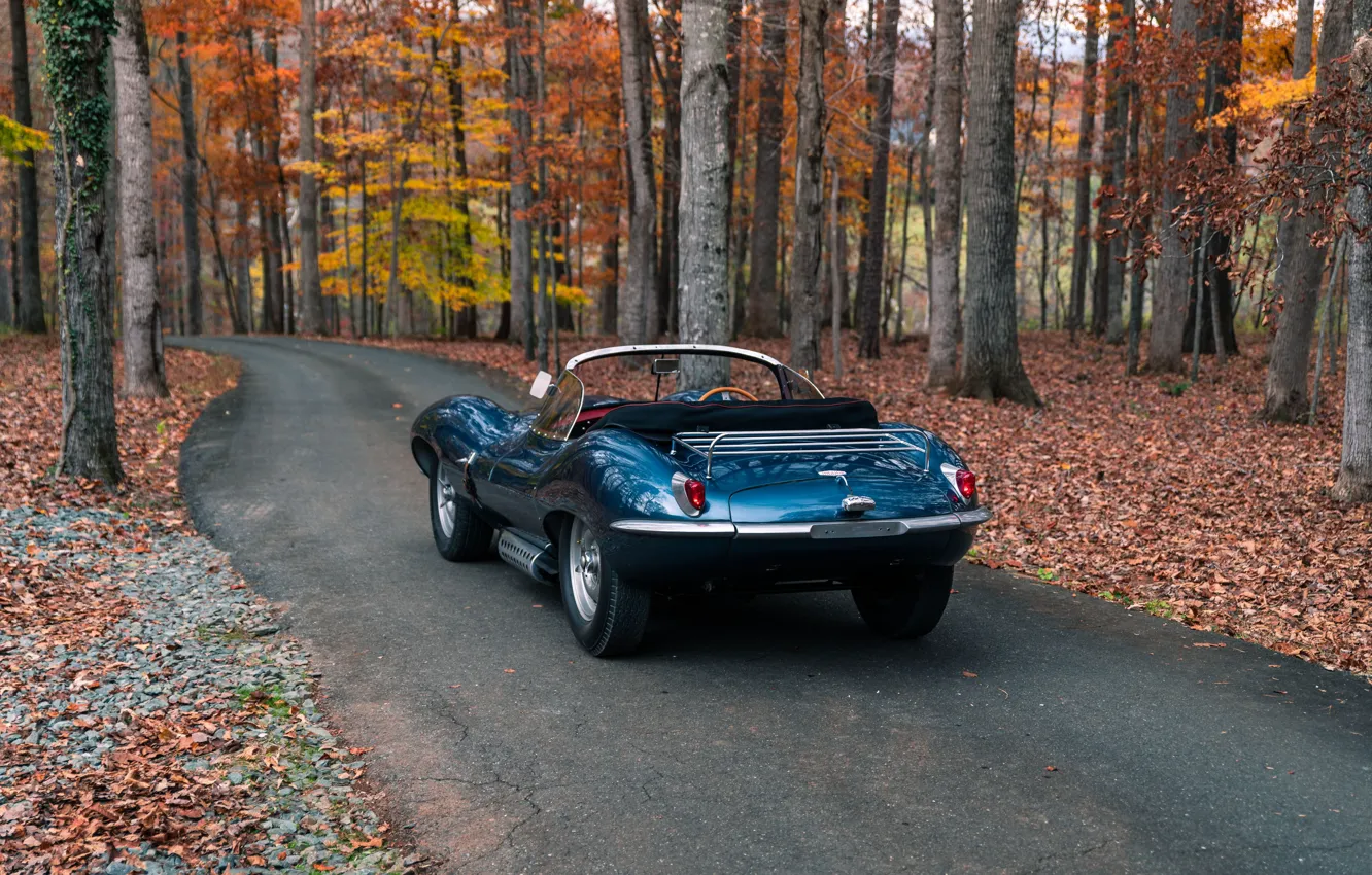 Фото обои Jaguar, 1957, rear view, XKSS, Jaguar XKSS