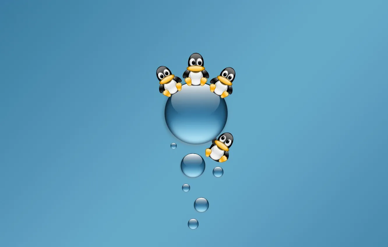 Фото обои синий, Минимализм, пингвины