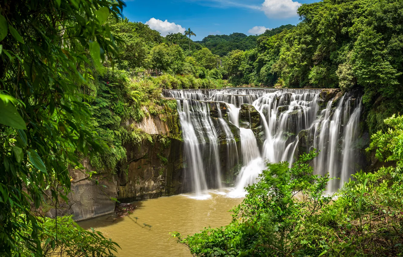 Фото обои зелень, лето, водопад, поток