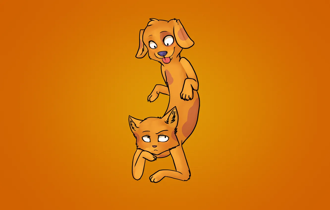 Фото обои оранжевый, фон, кот и пес, CatDog, Котопес