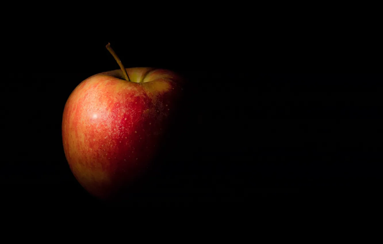 Фото обои яблоко, еда, фрукт