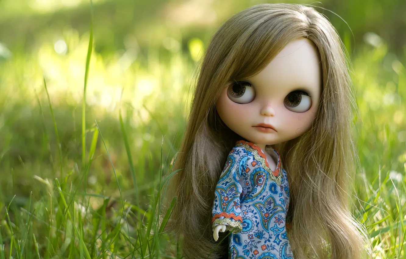 Фото обои трава, волосы, кукла, платье, девочка