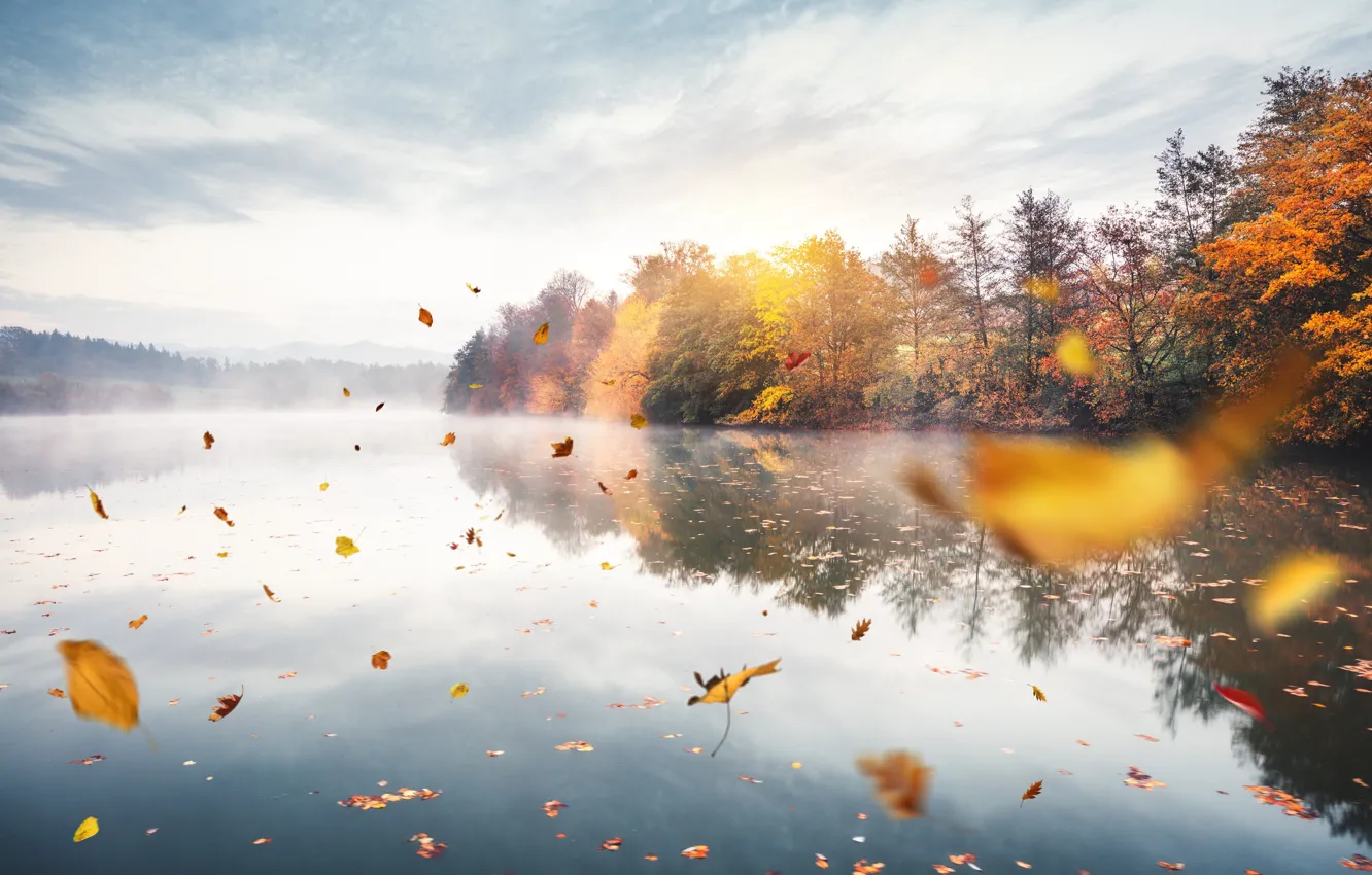 Фото обои осень, лес, облака, туман, озеро, пруд, отражение, настроение