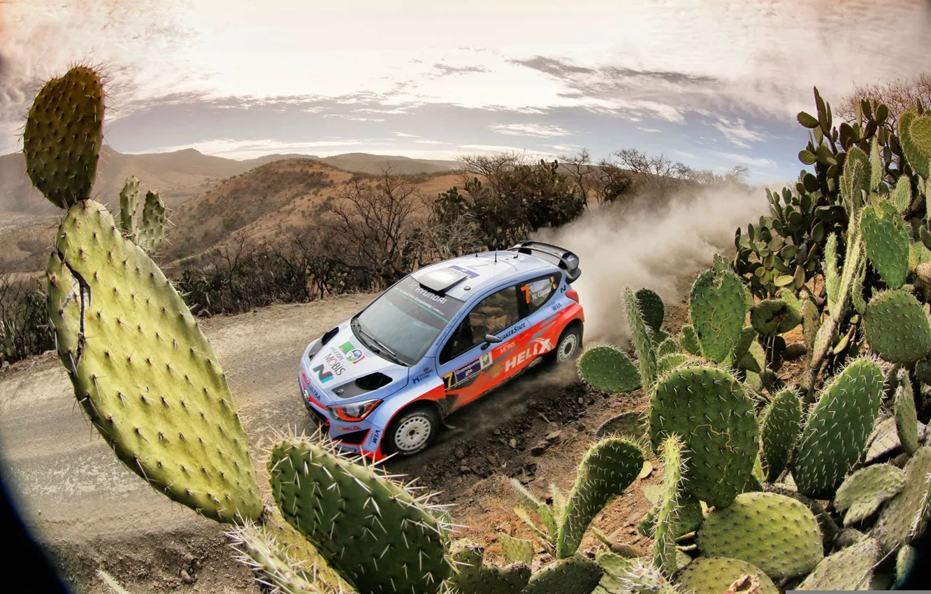 Фото обои Пыль, Hyundai, Mexico, WRC, Rally, Кактус, i20, Neuville