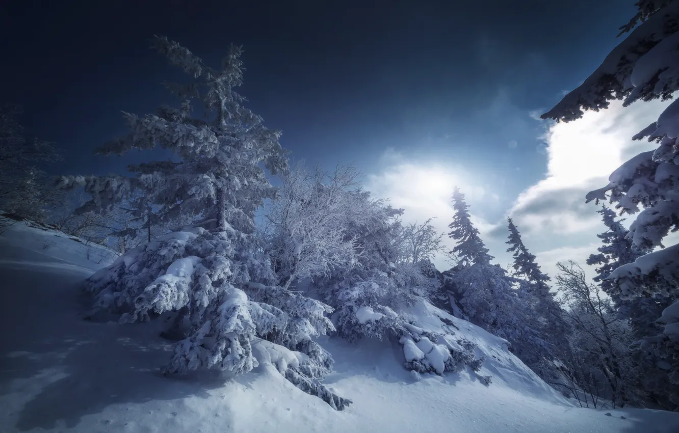 Фото обои зима, снег, пейзаж, природа, ели, Таганай, Николай Шевченко