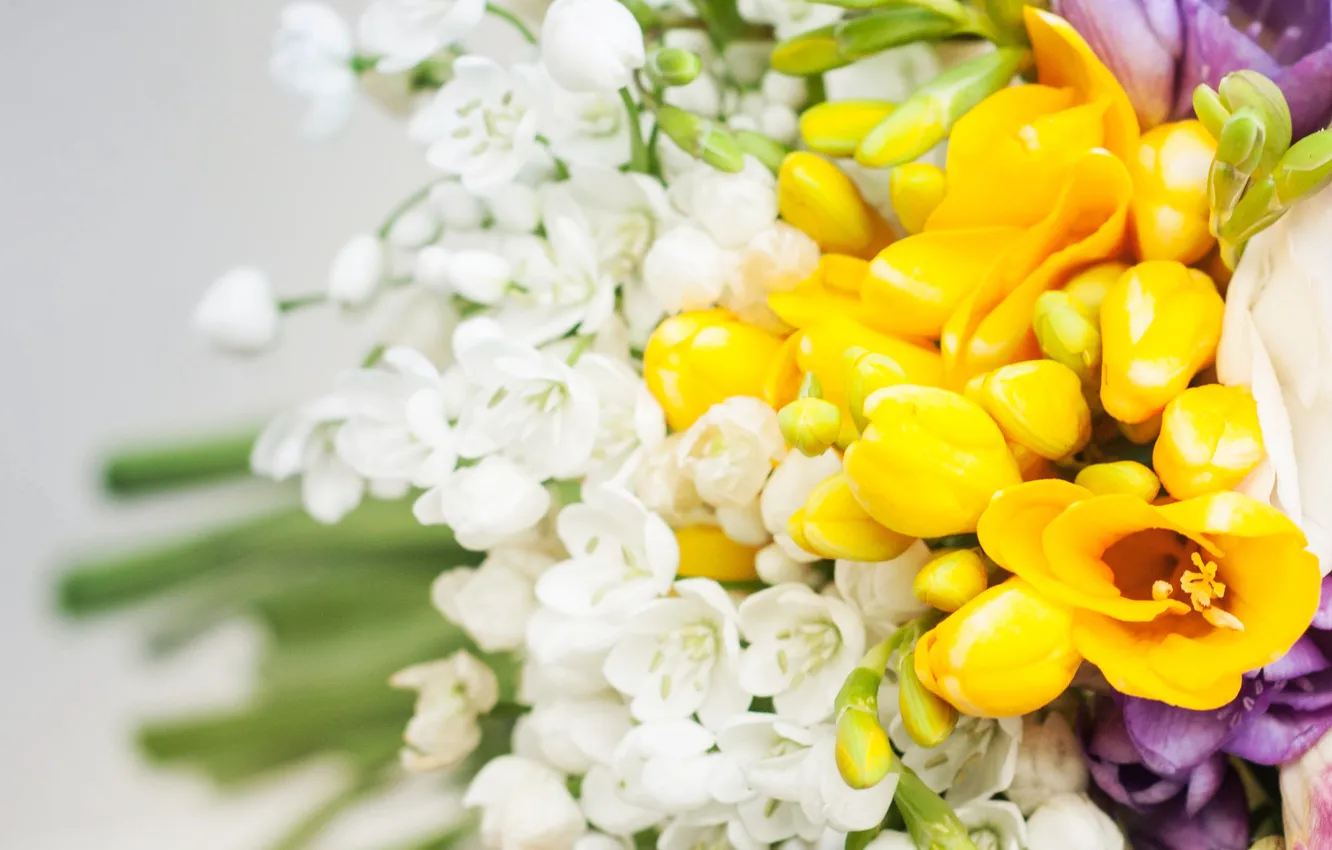 Фото обои листья, цветы, букет, бутоны, flowers, leaves, bouquet, buds