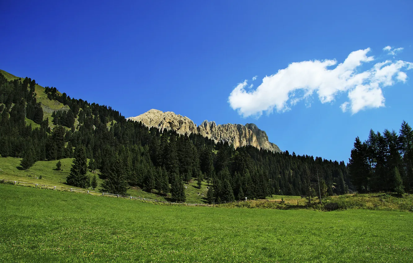 Фото обои долина, Альпы, Италия, один из самых привлекательных ландшафтов, Campitello, подножье Сассолунго и Коль Роделла