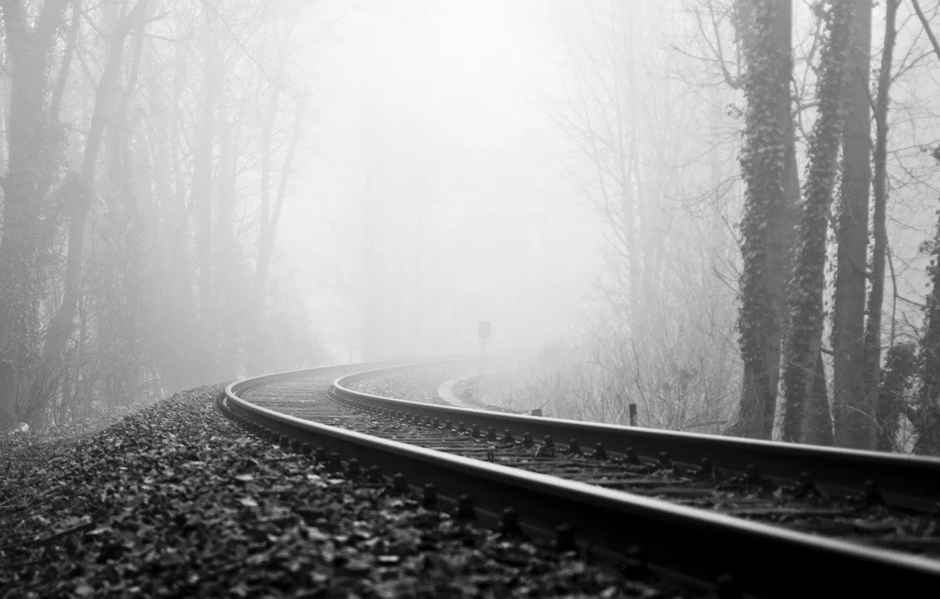 Фото обои лес, туман, железная дорога