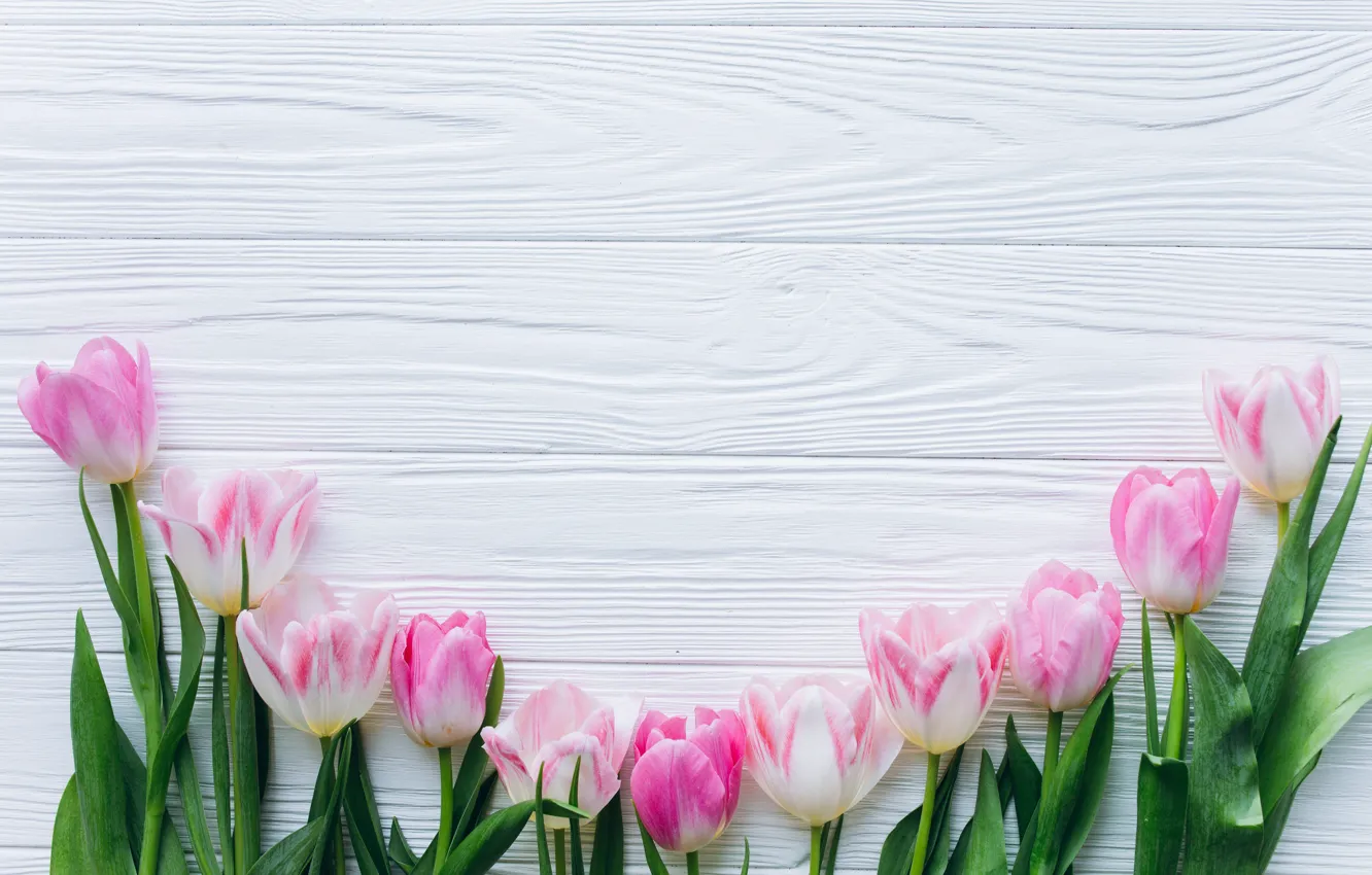Фото обои цветы, тюльпаны, розовые, fresh, wood, pink, flowers, beautiful