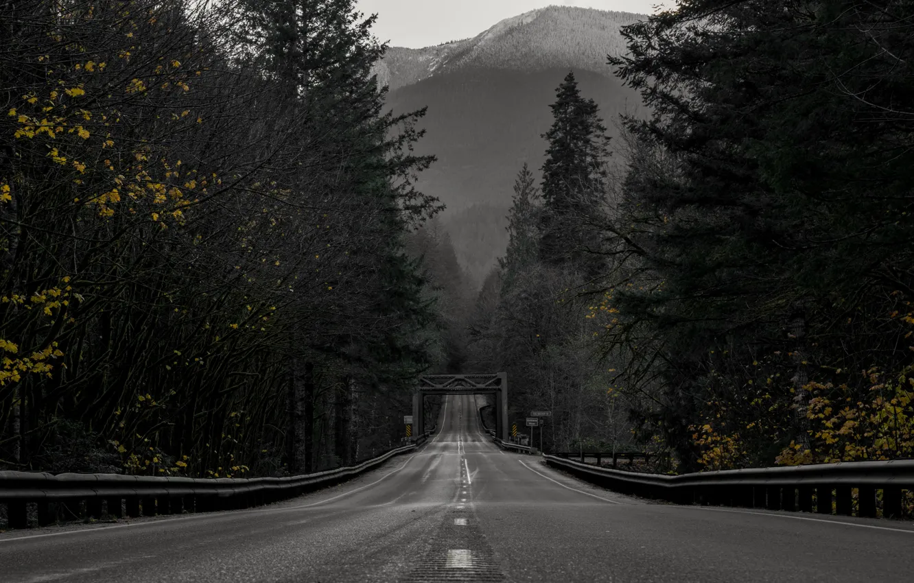 Фото обои дорога, лес, горы