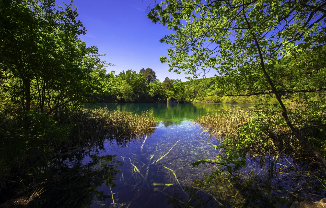 Фото обои зелень, трава, деревья, озеро, кусты, Хорватия, Plitvice Lakes National Park