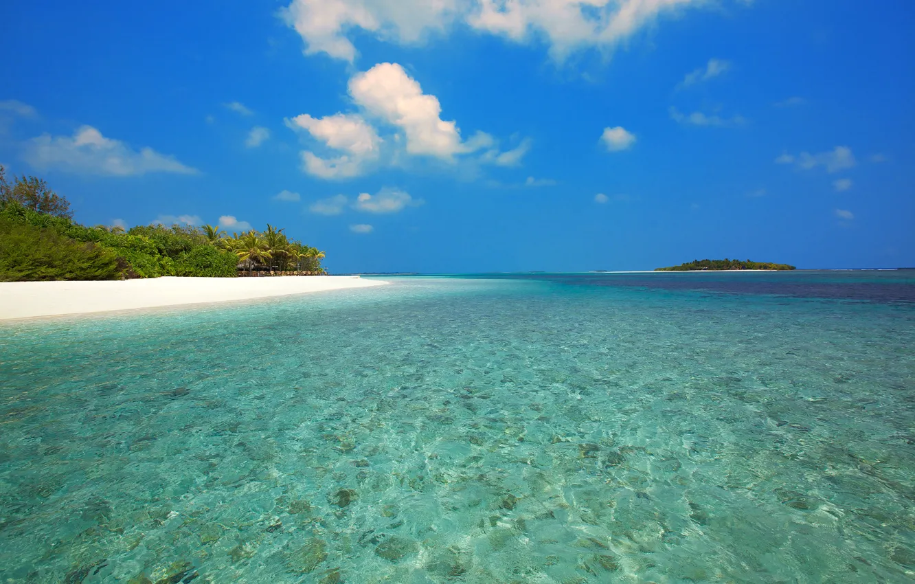 Фото обои море, пляж, острова, тропики, отдых, Мальдивы
