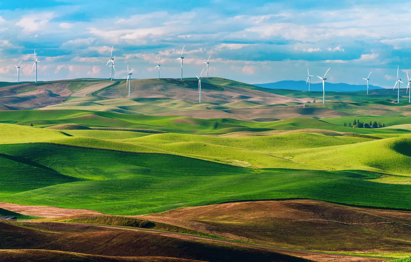 Фото обои поля, Вашингтон, США, штат, ветрогенераторы, ВЭУ, ветряные электростанции