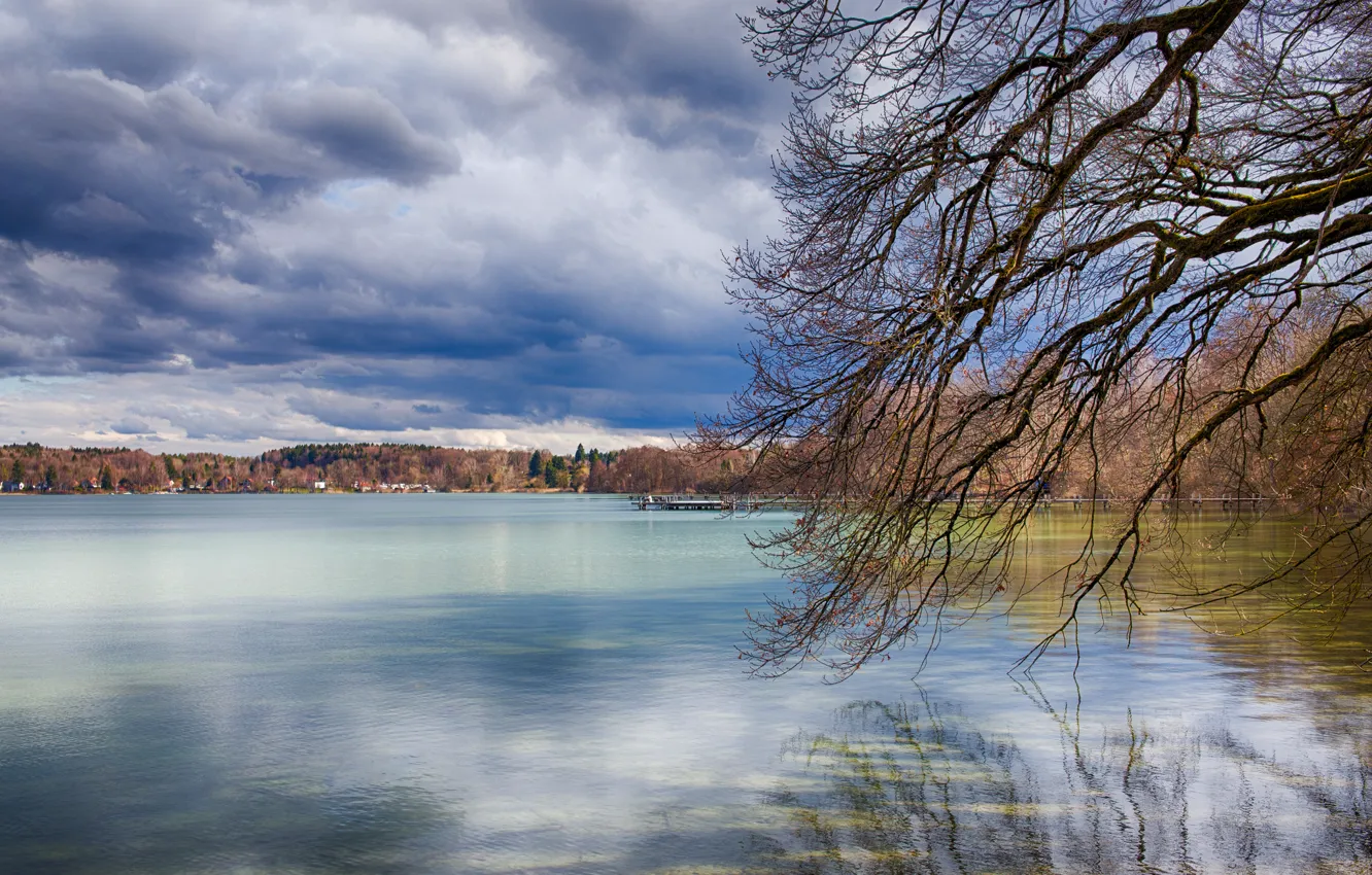 Фото обои облака, деревья, тучи, озеро, ветви, весна