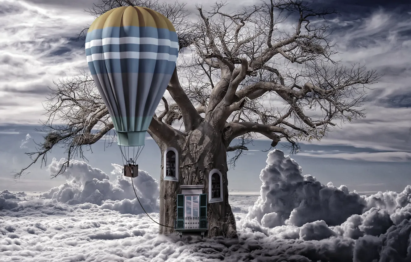 Фото обои облака, воздушный шар, дерево, ствол