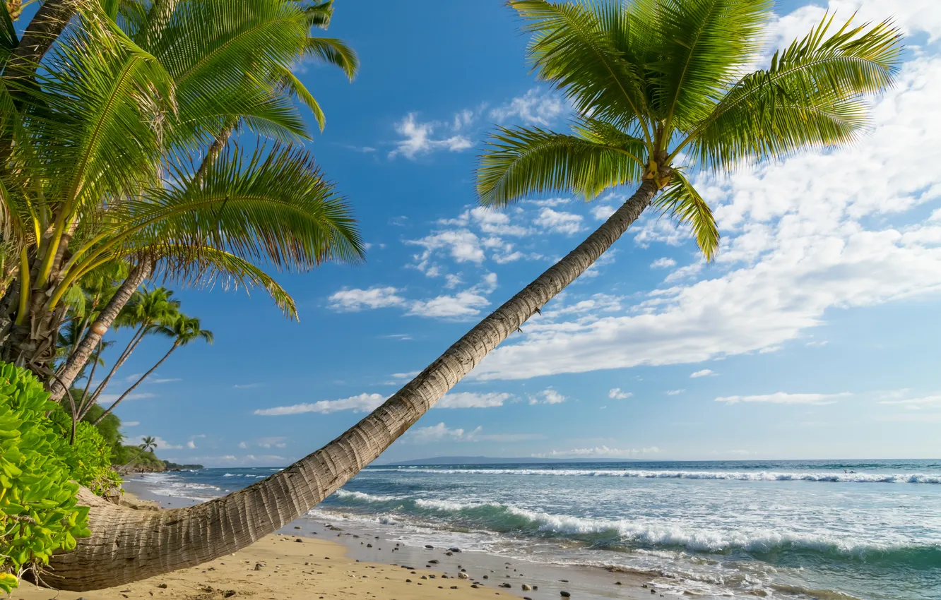 Фото обои песок, море, небо, облака, камни, берег, горизонт, Гавайи