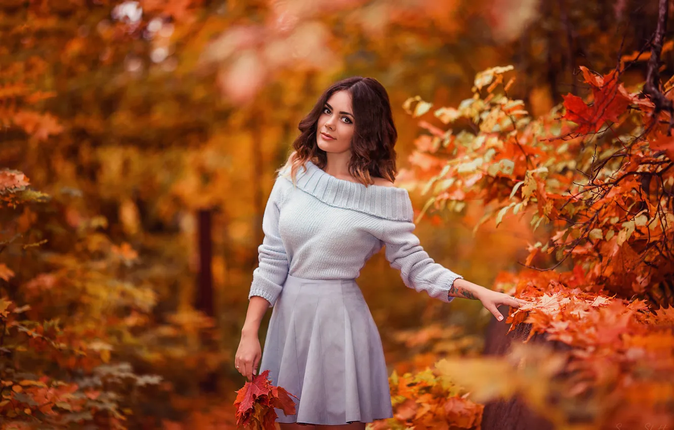 Фото обои осень, взгляд, листья, девушка, парк, фото, свитер, Ксения