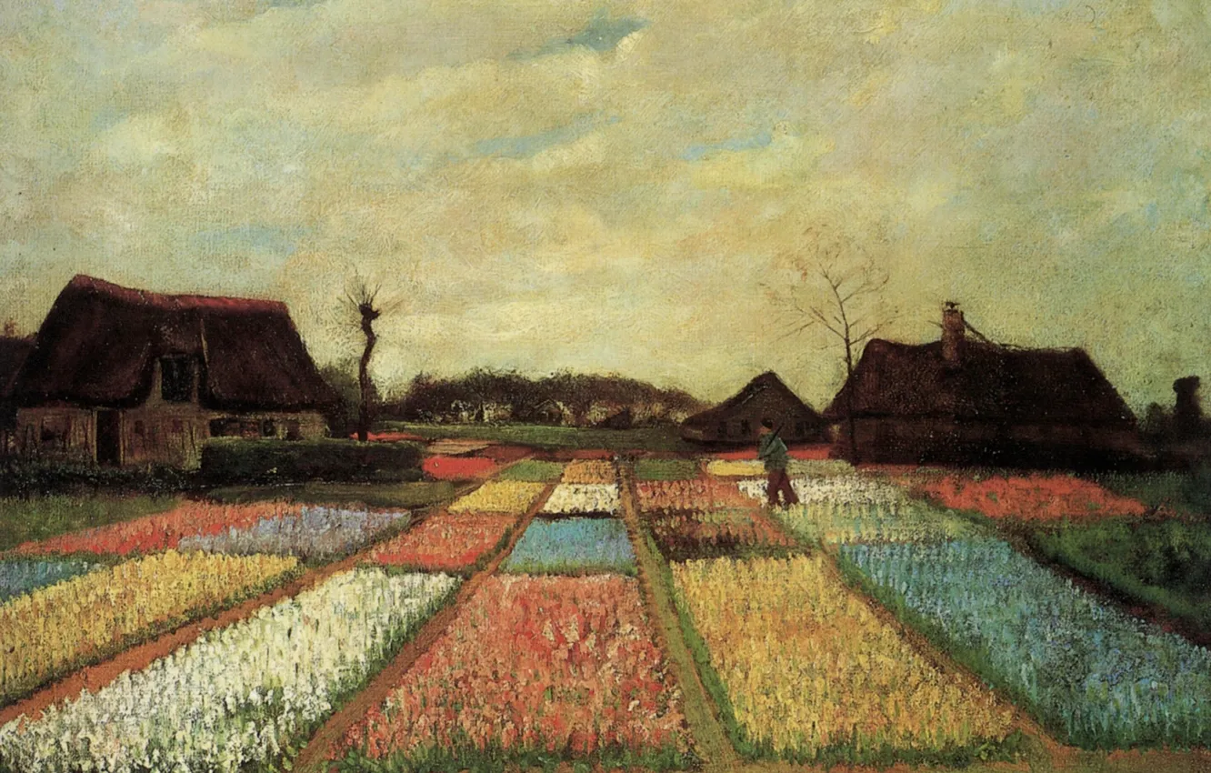 Фото обои Vincent van Gogh, Early paintings, плантация цветов, Bulb Fields
