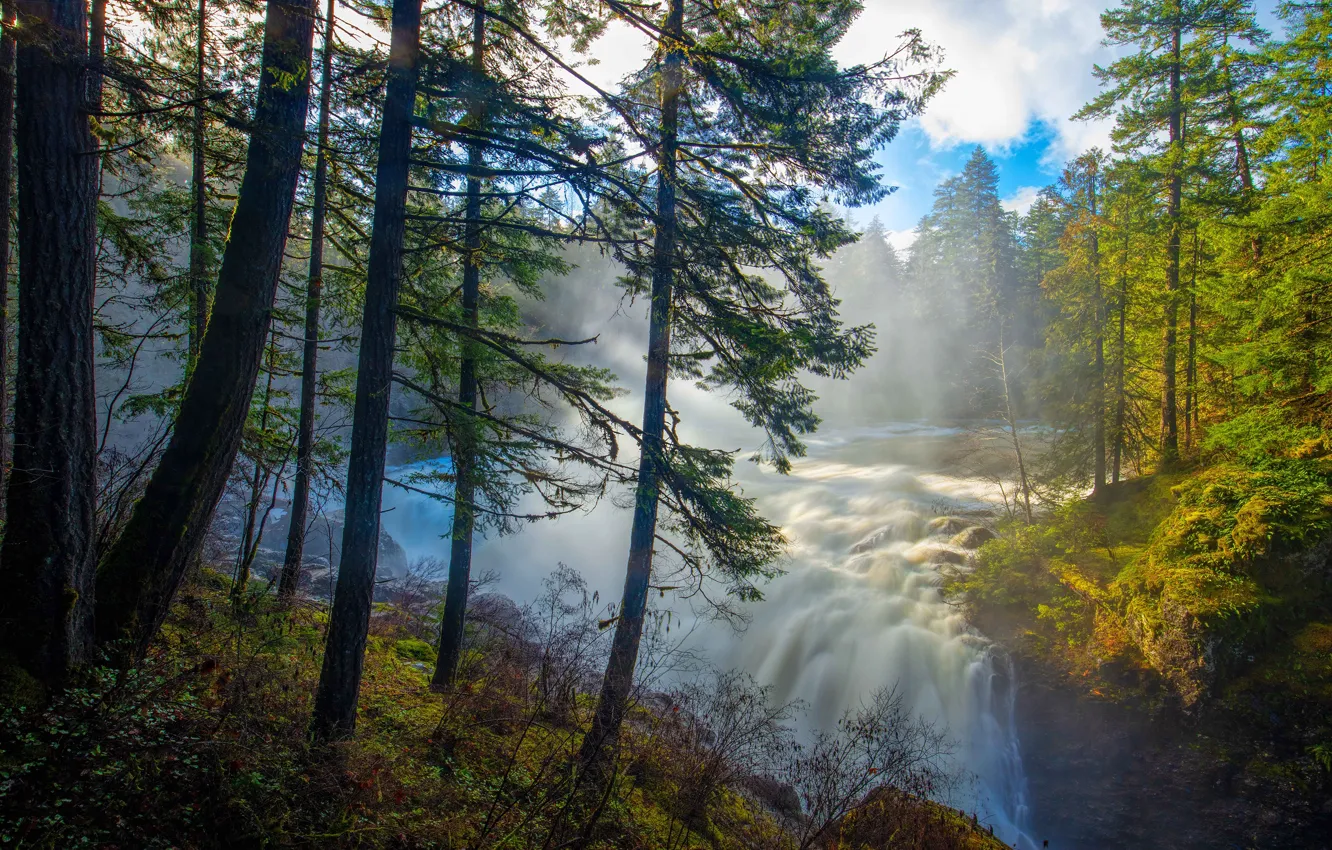 Фото обои осень, лес, свет, деревья, туман, берег, водопад, поток