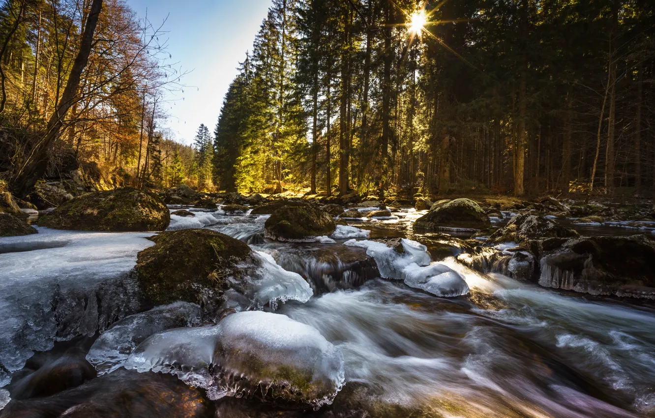 Фото обои лес, река, камни, лёд, Czech Republic, Национальный парк Шумава, Šumava National Park, Река Выдра