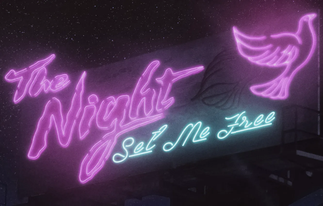 Фото обои Music, Cover, Monstercat, The Night, Set Me Free