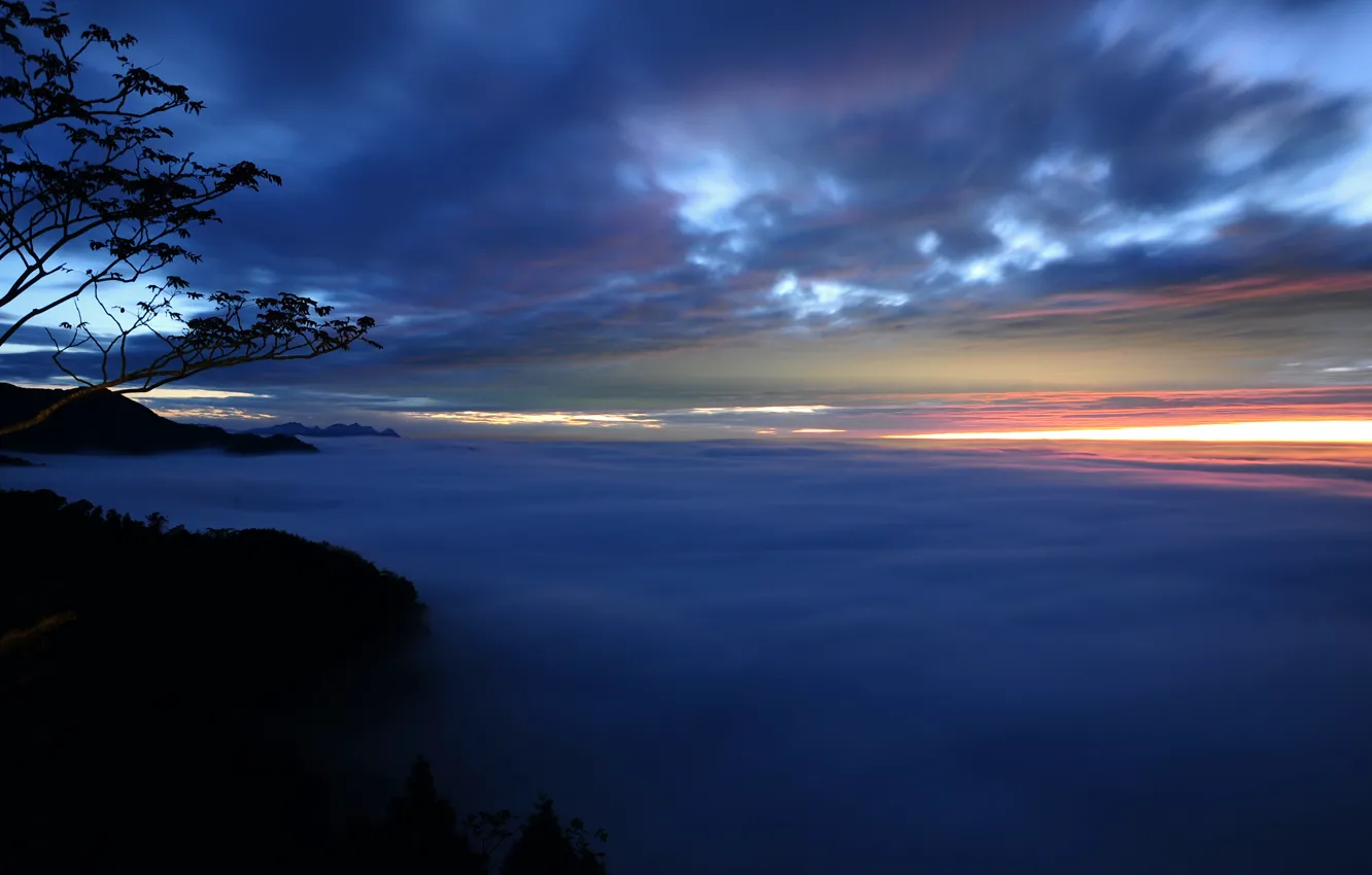 Фото обои небо, облака, деревья, закат, ветки, туман, Вечер, дымка