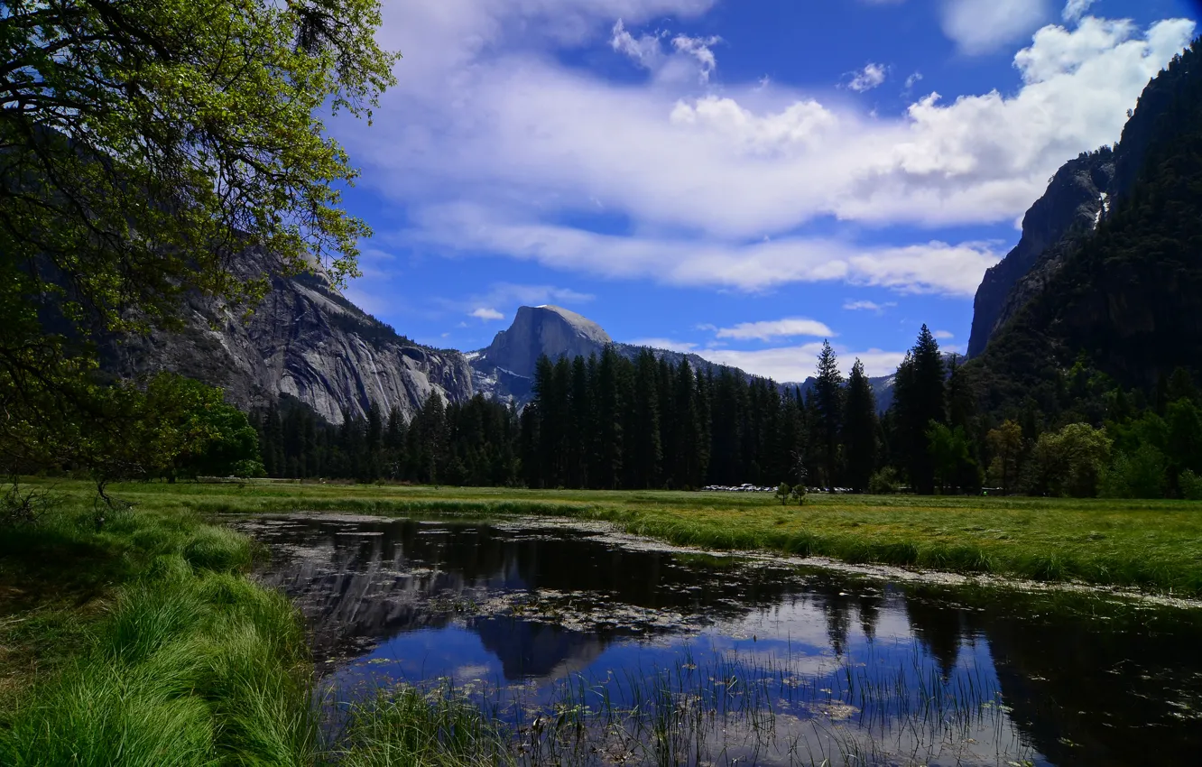 Фото обои деревья, горы, река, Калифорния, Йосемити, California, Yosemite National Park