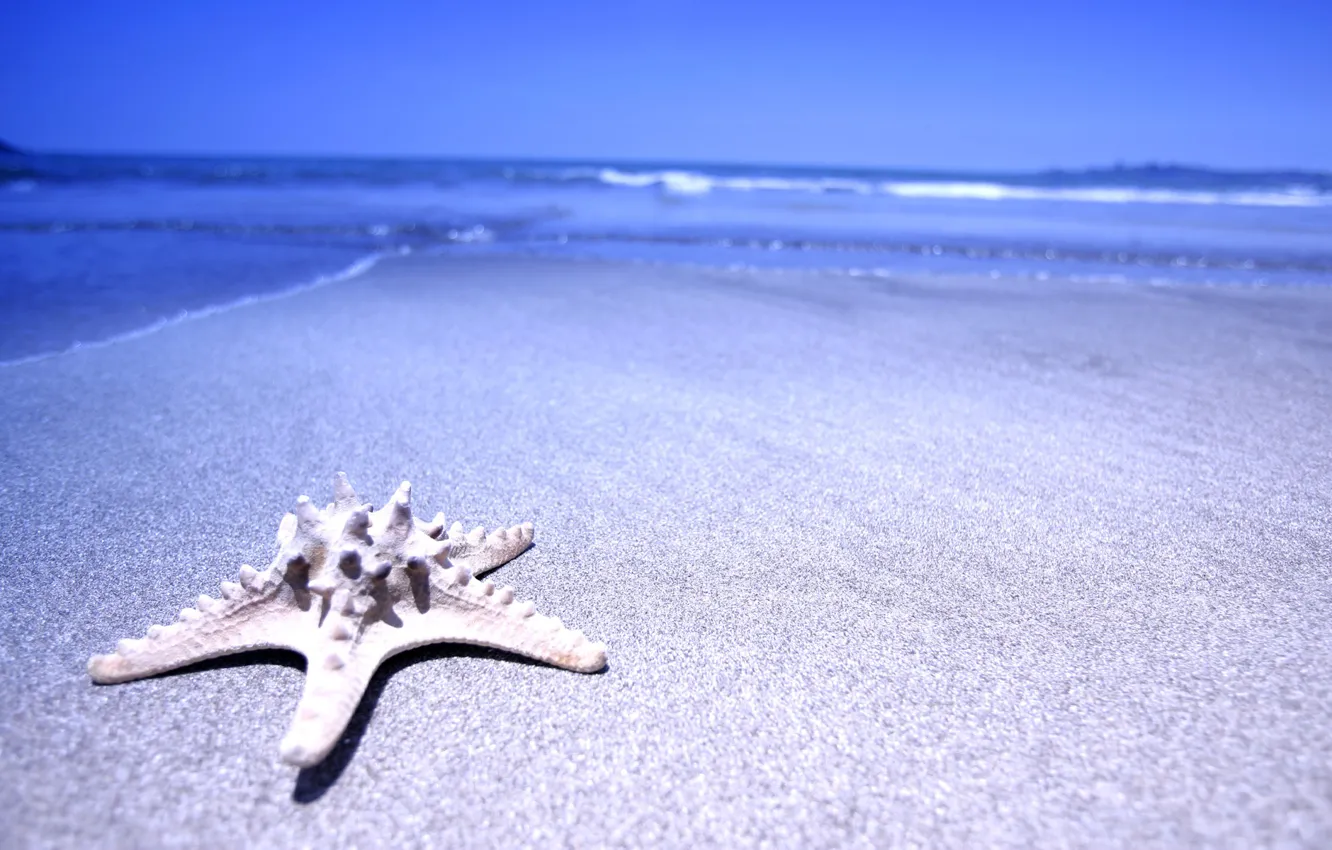 Фото обои песок, море, вода, звезда