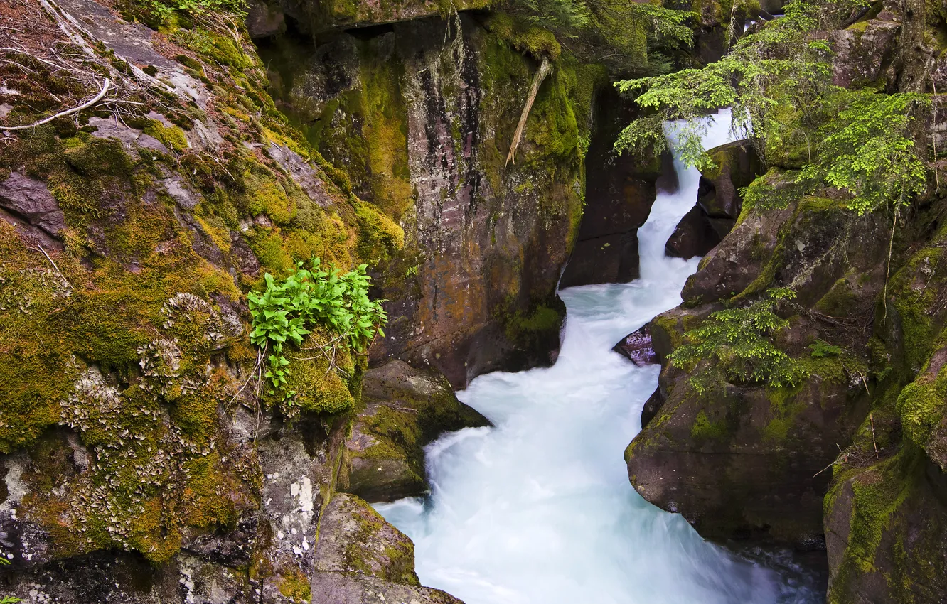 Фото обои река, скалы, куст, водопад, поток