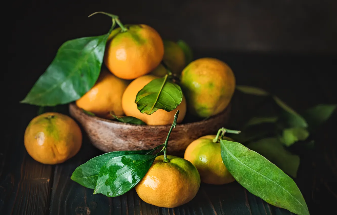 Фото обои стол, цитрус, миска, мандарины