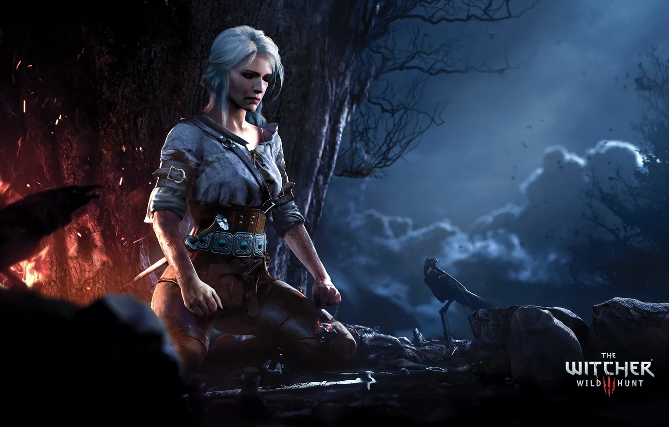 Фото обои лес, девушка, ночь, огонь, медитация, The Witcher, Ciri, cirilla