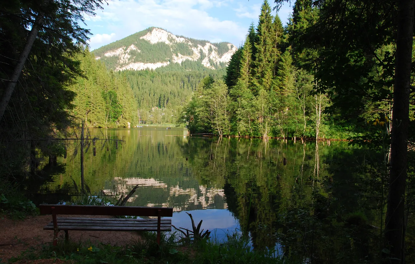 Фото обои лес, горы, скамейка, озеро