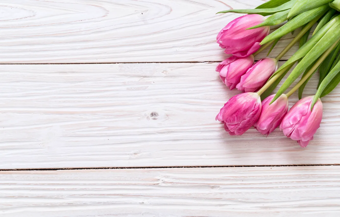 Фото обои цветы, тюльпаны, розовые, fresh, wood, pink, flowers, tulips