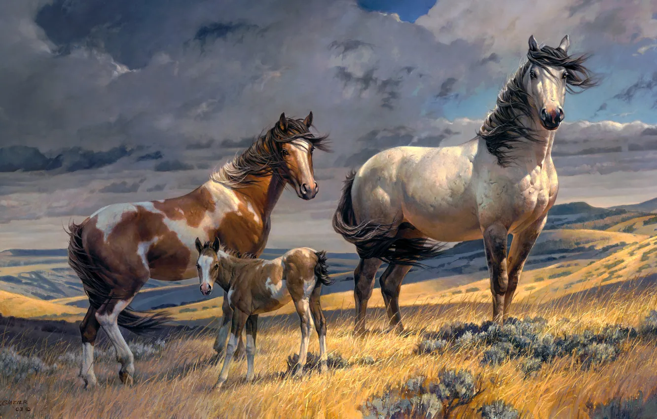 Фото обои поле, облака, ветер, холмы, рисунок, кони, картина, лошади
