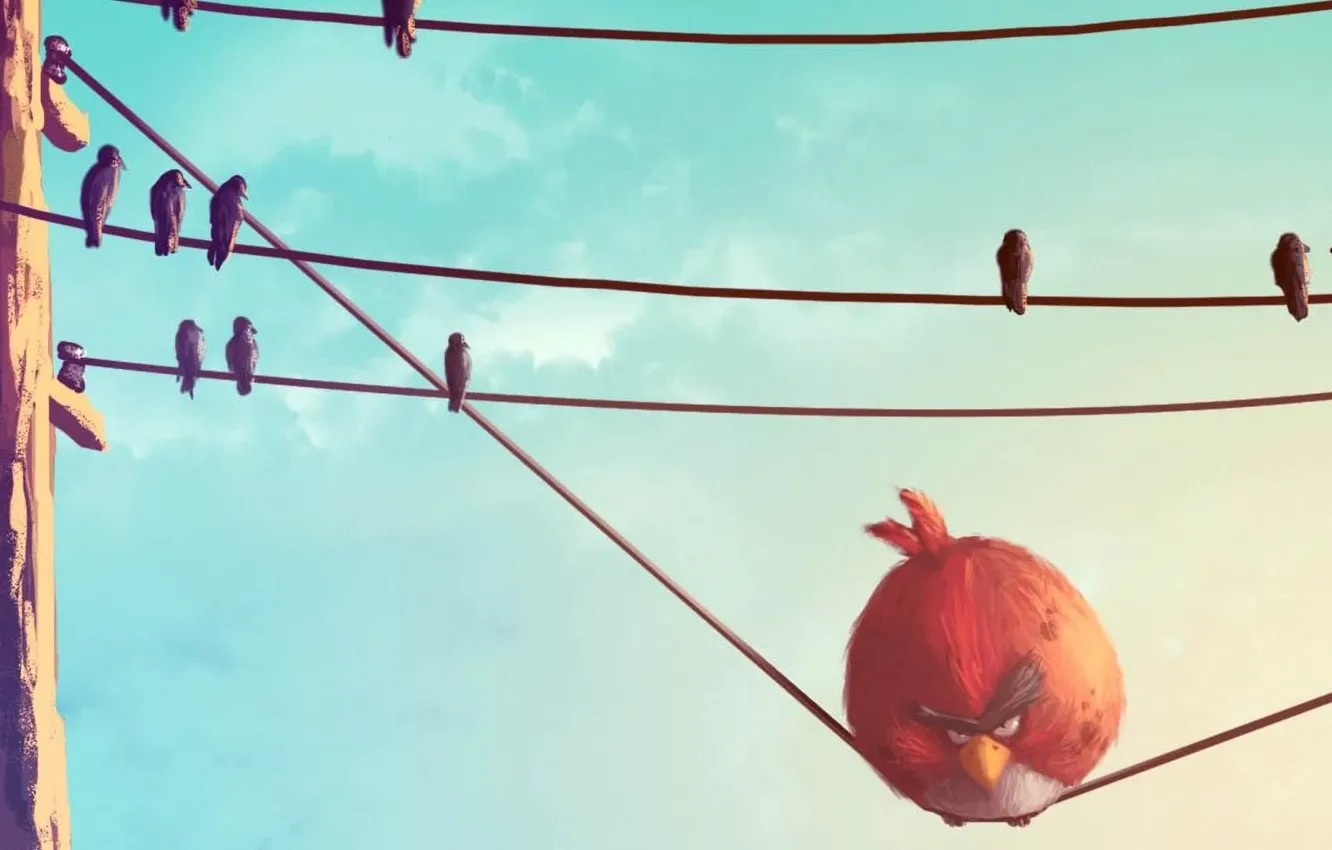 Фото обои птицы, провода, красная, Angry Birds, злые птички
