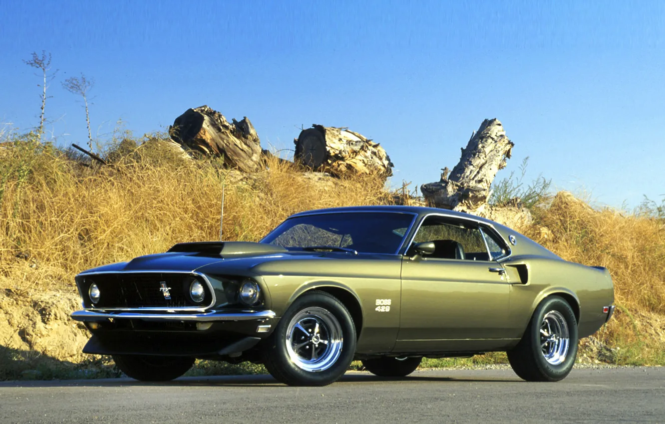 Фото обои Mustang, Green, Boss 429
