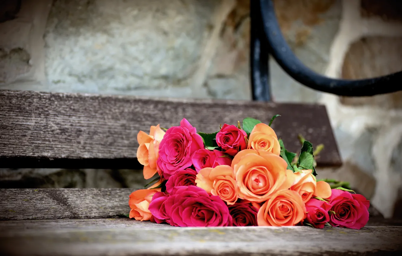 Фото обои цветы, розы, букет, скамья