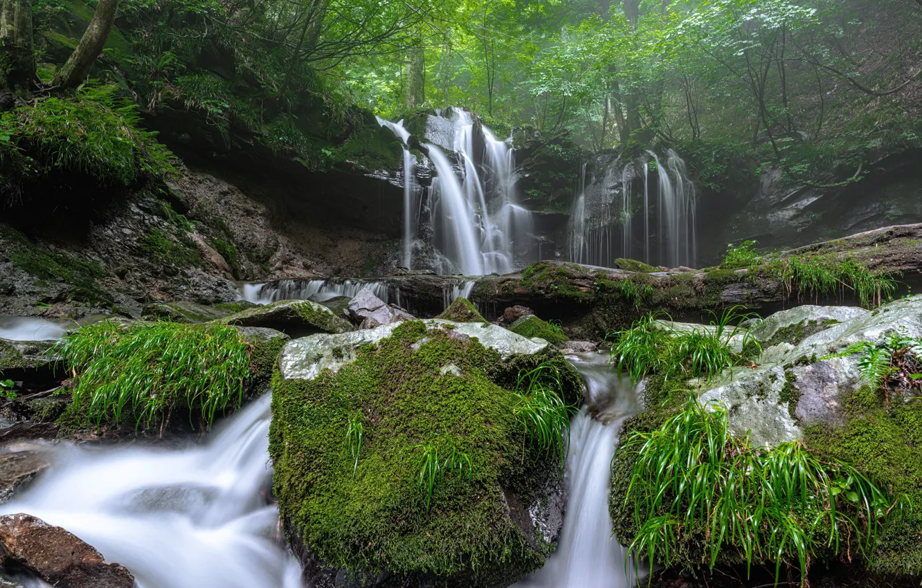 Фото обои туман, камни, водопад, мох