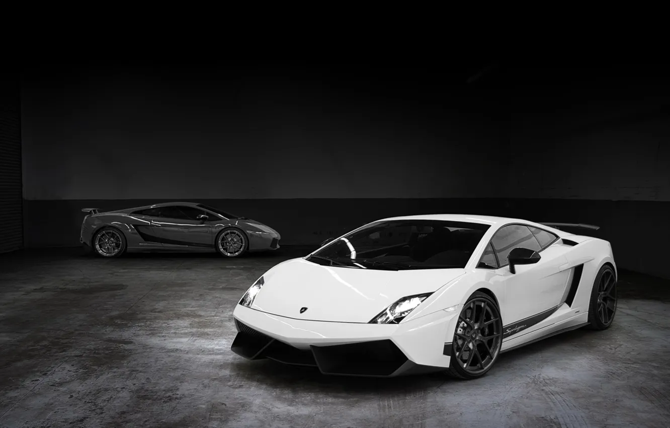 Фото обои белый, серый, фон, тюнинг, Lamborghini, суперкар, Gallardo, полумрак
