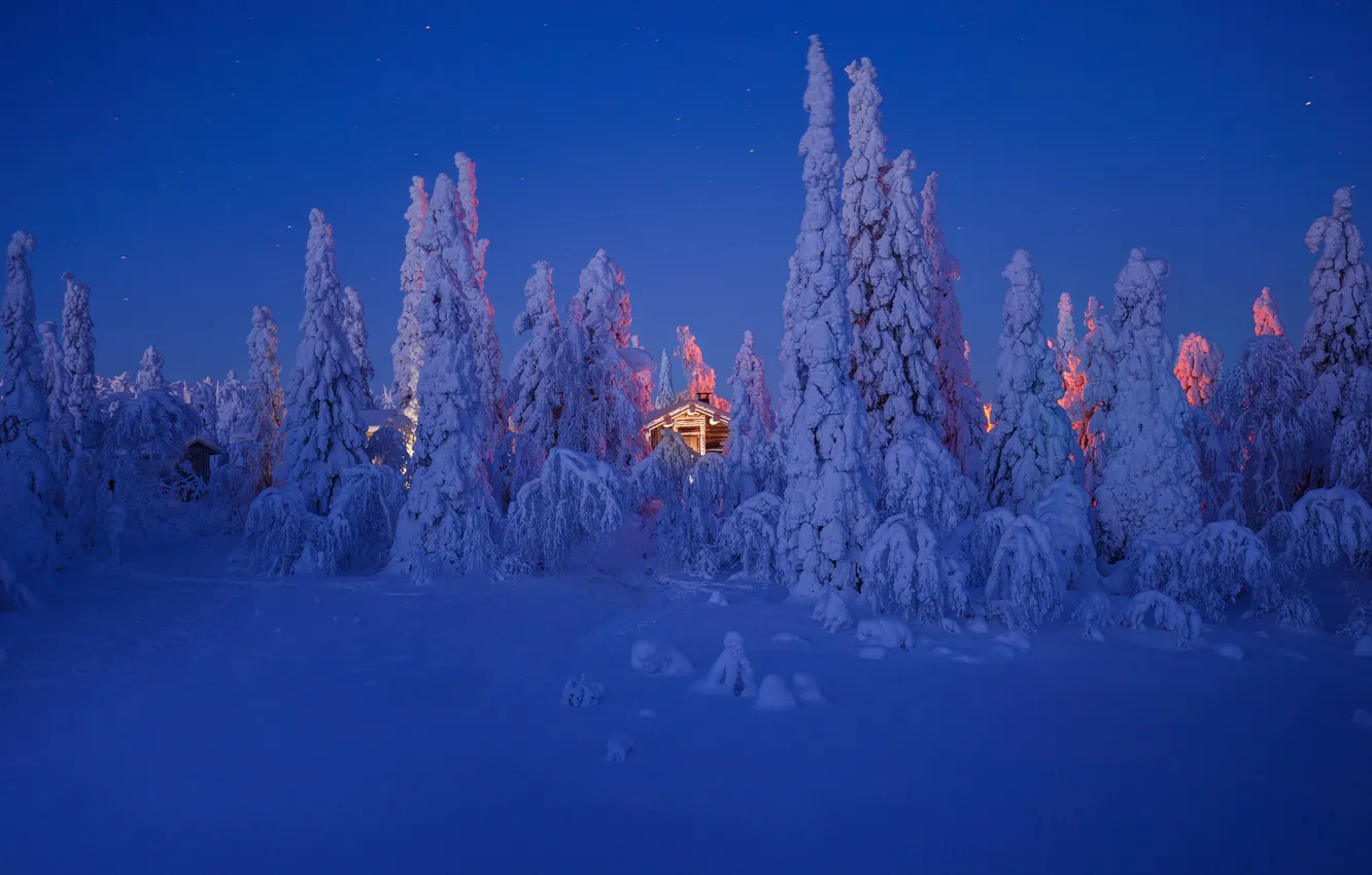 Фото обои зима, небо, звезды, снег, дом, winter, snow, stars