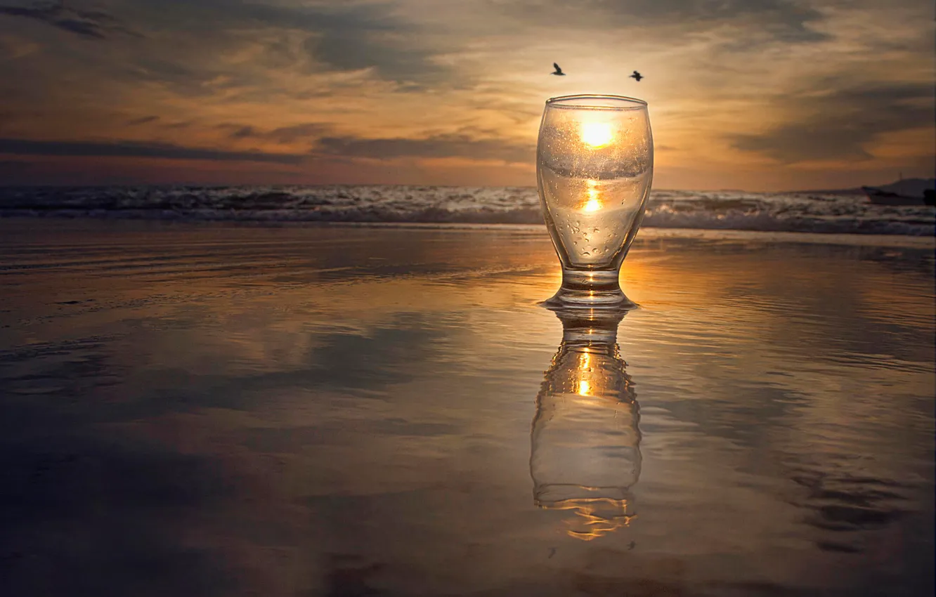 Фото обои море, солнце, птицы, стакан, отражение, прибой