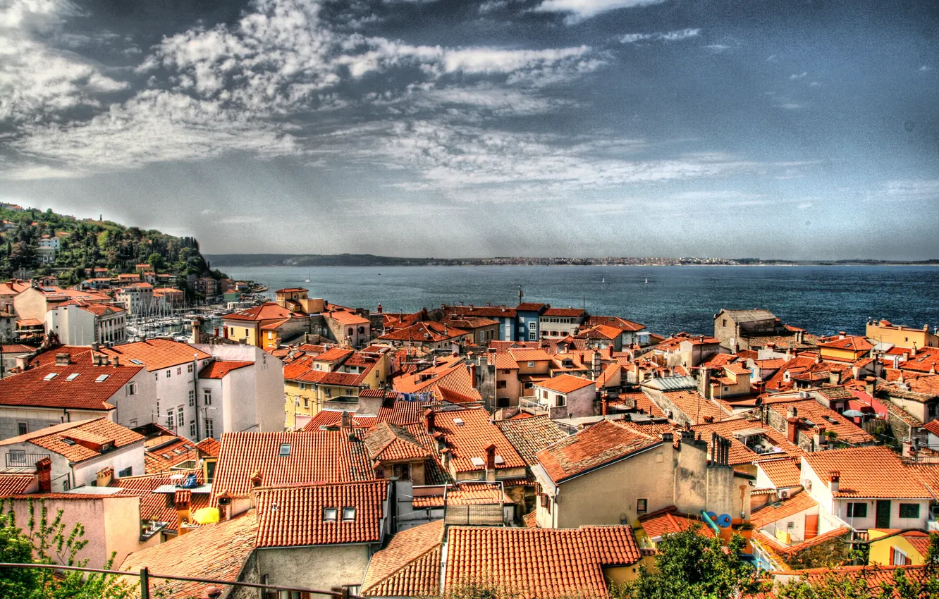 Фото обои здания, дома, крыши, Пиран, Словения, Slovenia, Адриатическое море, Piran