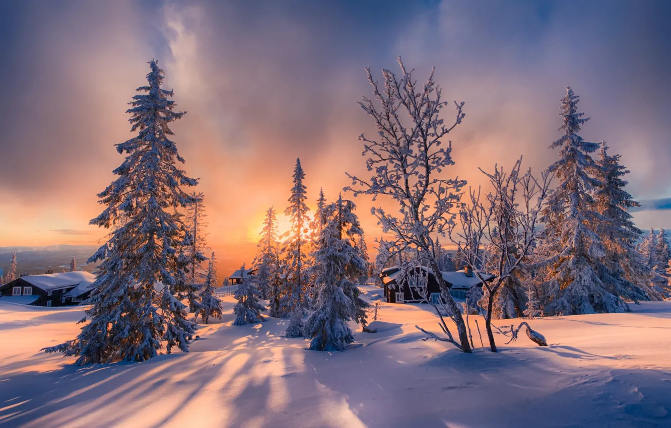 Фото обои зима, свет, снег, деревья, дома, север