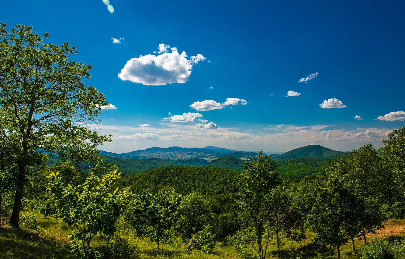 Фото обои деревья, горы, долина, панорама