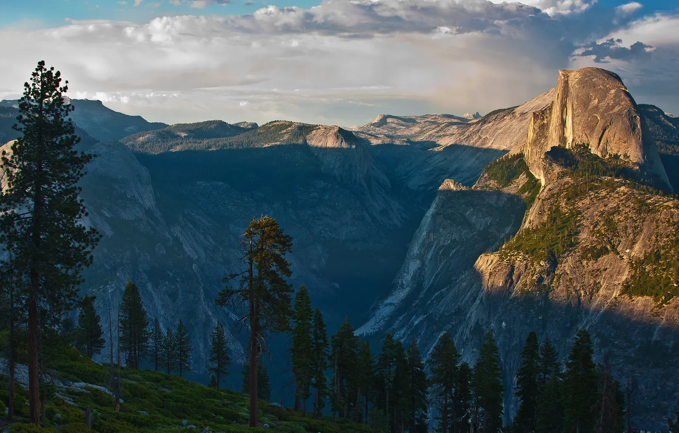 Фото обои лес, горы, вид, высота, долина, Калифорния, California, Национальный парк Йосемити